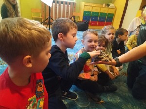 IMG20231120110229